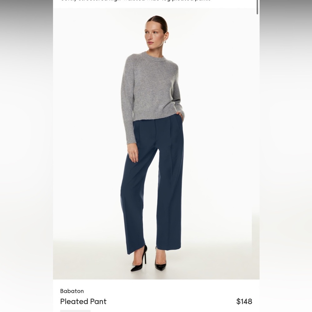 Aritzia Babaton Pleated pants 00